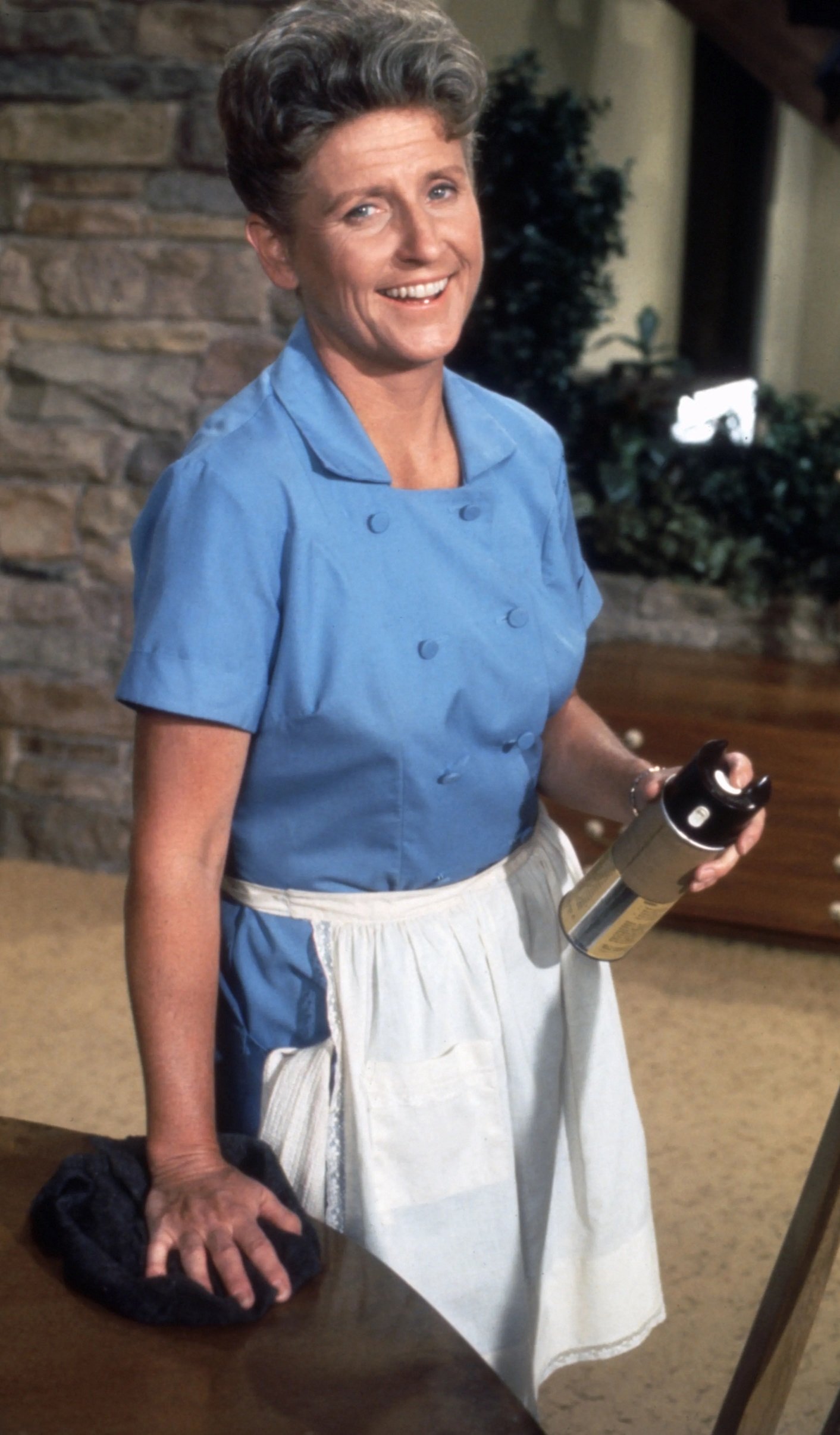 Ann B. Davis