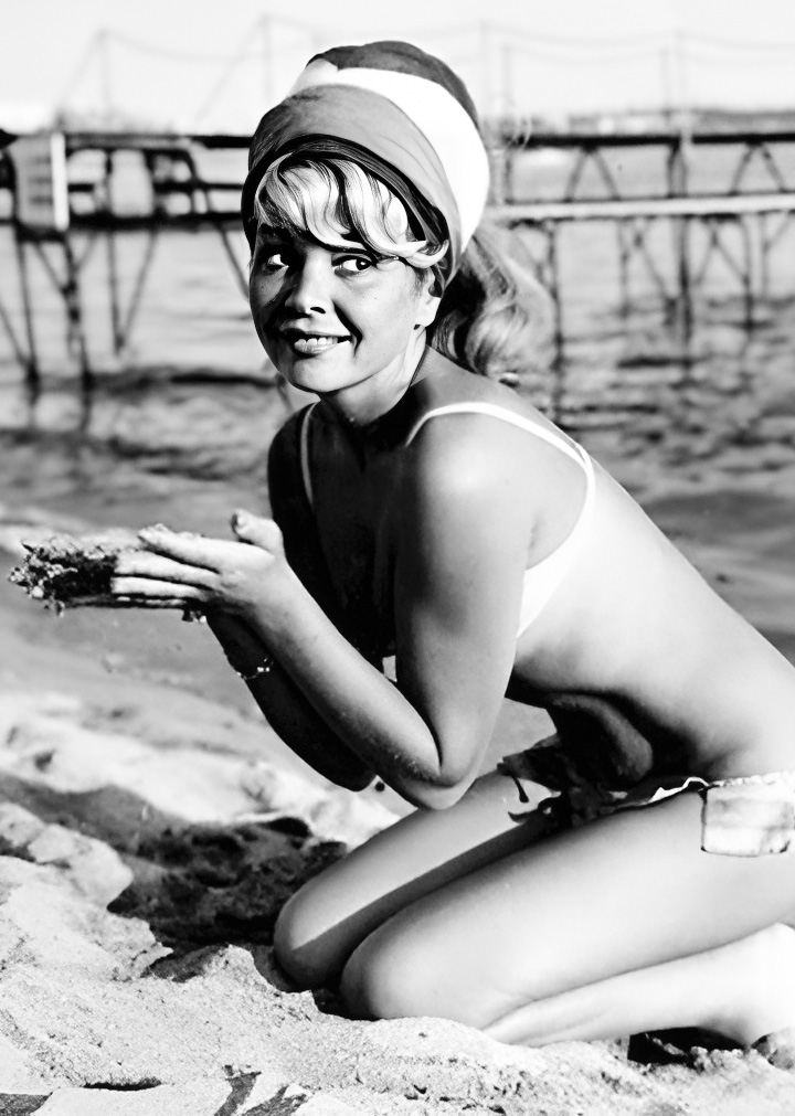 Patricia Viterbo